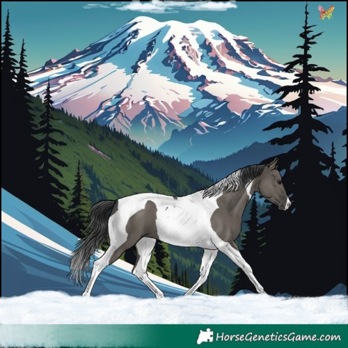 Horse Color:Grullo Tobiano 