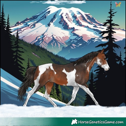 Horse Color:Bay Sabino Tobiano Varnish 
