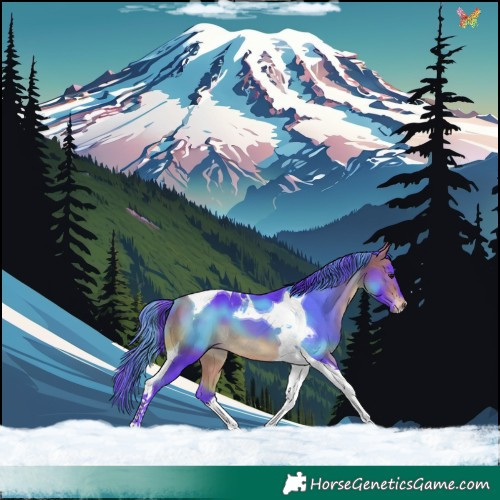 Horse Color:Watercolor Bay Tobiano 
