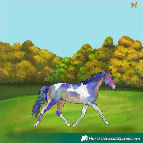 Horse Color:Watercolor Bay Tobiano