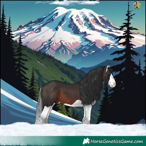 Horse Color:Bay Splash 