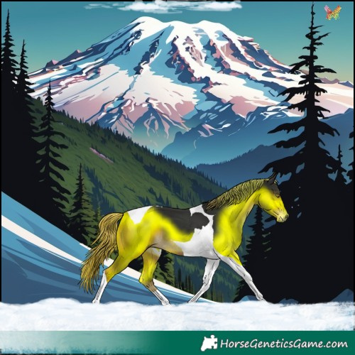 Horse Color:Liver Chestnut Tobiano 