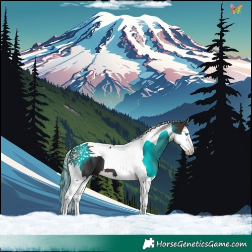 Horse Color:Bay Splash Tobiano 