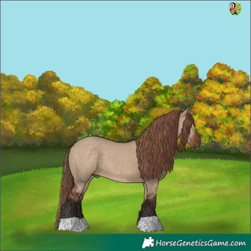 Horse Color:Liver Red Dun 