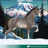 Horse Color:Liver Chestnut Sabino