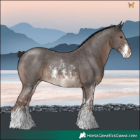Horse Color:Liver Chestnut Sabino 