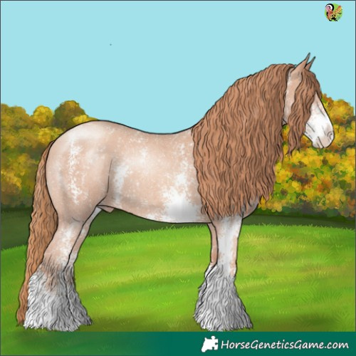 Horse Color:Gold Champagne Sabino Rabicano