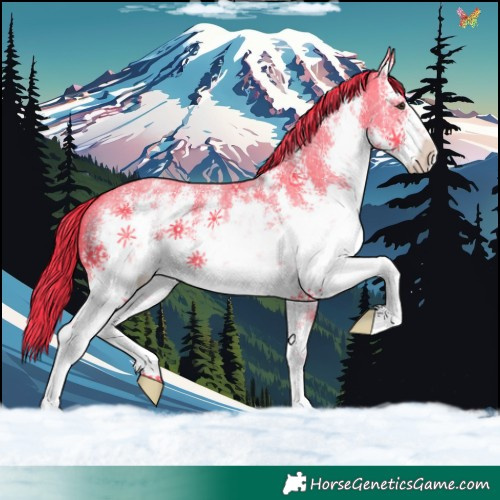 Horse Color:Watercolor White Spotted Liver Chestnut Sabino 