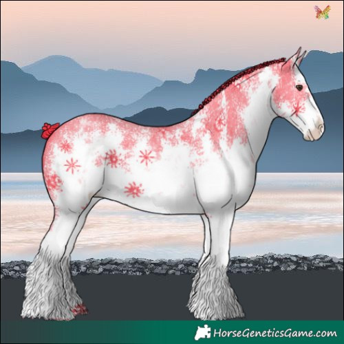 Horse Color:Watercolor White Spotted Liver Chestnut Sabino 