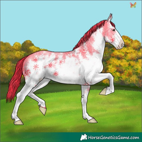 Horse Color:Watercolor White Spotted Liver Chestnut Sabino 