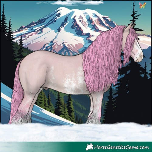 Horse Color:Watercolor Bay Dun Sabino 