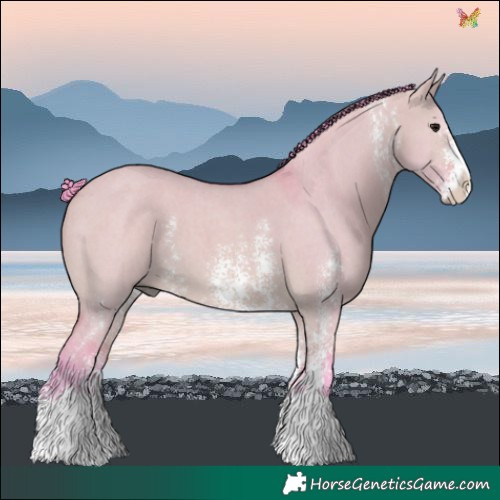 Horse Color:Watercolor Bay Dun Sabino 