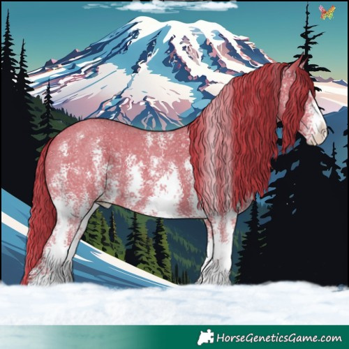 Horse Color:Watercolor Liver Chestnut Sabino 