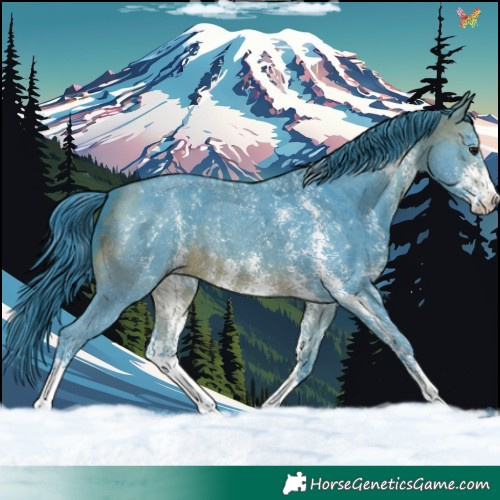 Horse Color:Watercolor Brown Sabino 