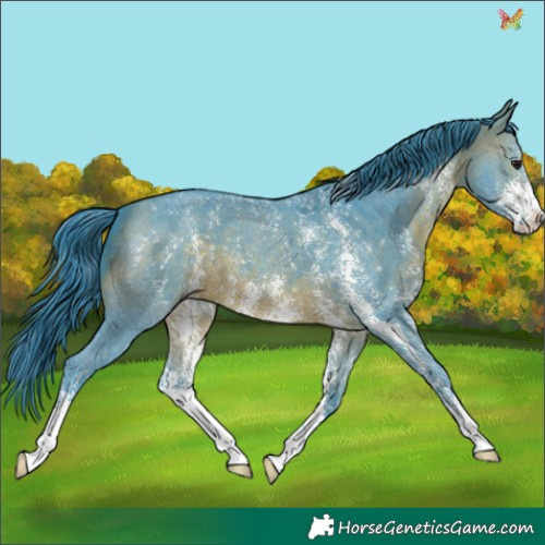 Horse Color:Watercolor Brown Sabino 