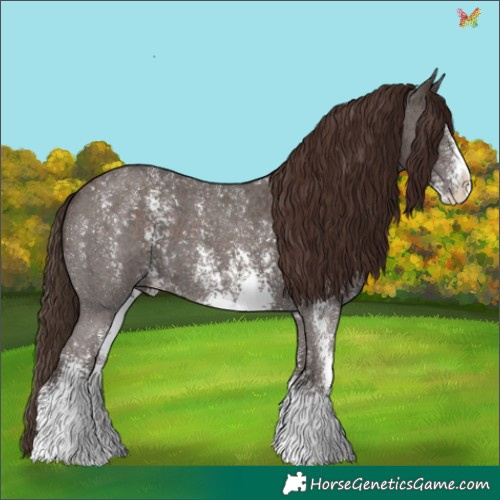 Horse Color:Liver Chestnut Sabino