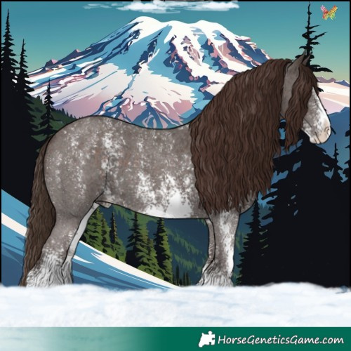 Horse Color:Liver Chestnut Sabino 