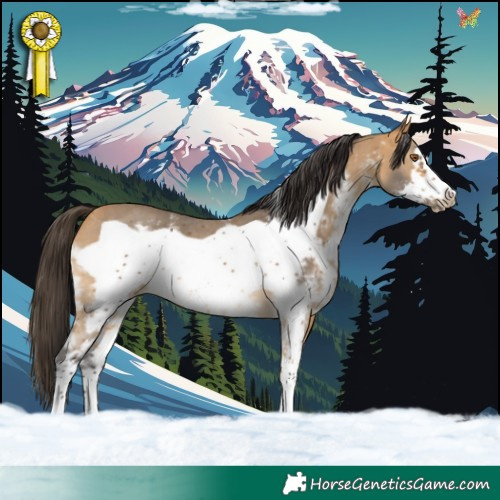 Horse Color:Buckskin Sabino Frame 