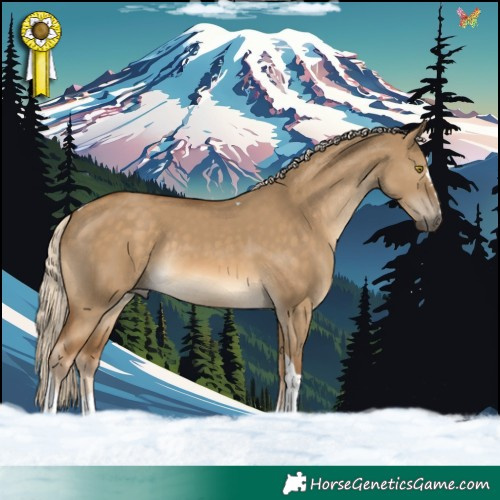 Horse Color:Chocolate Palomino Dun Tobiano Rabicano 