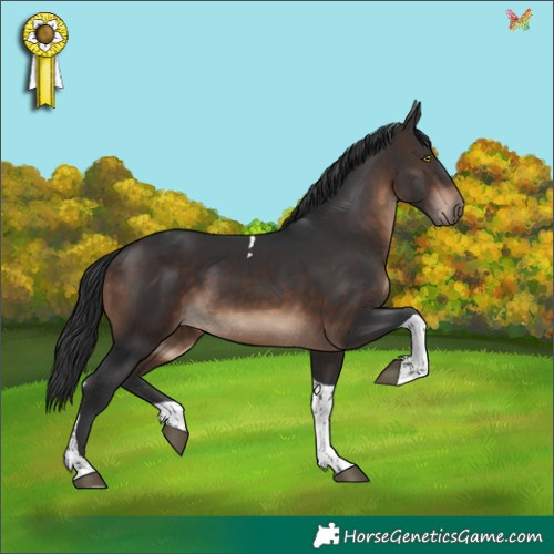 Horse Color:Brown Tobiano 