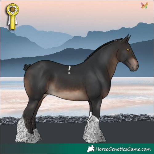 Horse Color:Brown Tobiano 