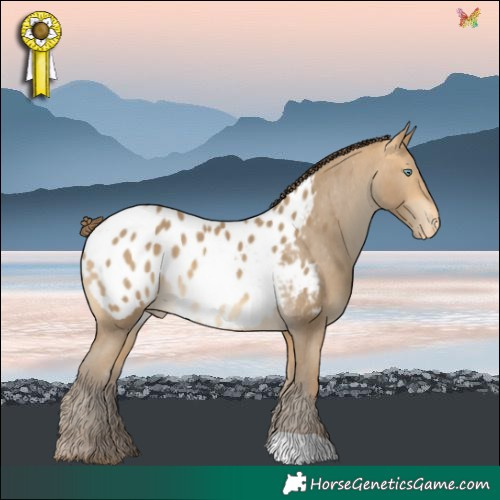 Horse Color:Sable Cream Champagne Blanket 