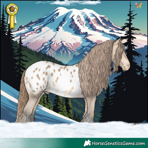 Horse Color:Sable Cream Champagne Appaloosa 