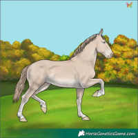 Horse Color:Smoky Creme 