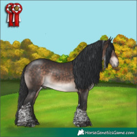 Horse Color:Bay Mushroom Tobiano Rabicano 