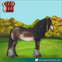 Horse Color:Bay Mushroom Tobiano Rabicano