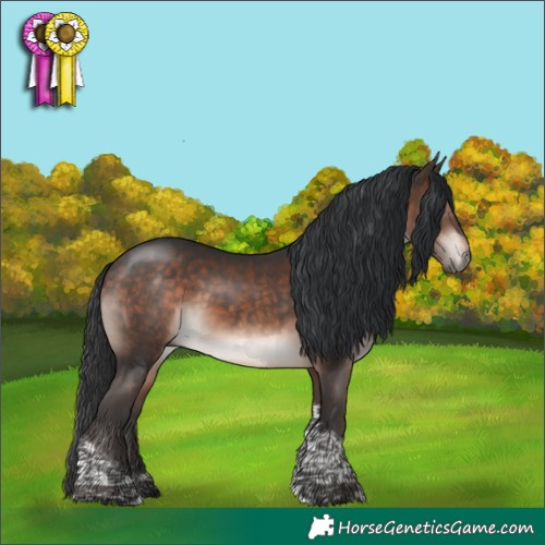 Horse Color:Bay Mushroom Tobiano