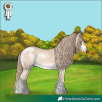 Horse Color:Perlino Mushroom Tobiano Rabicano
