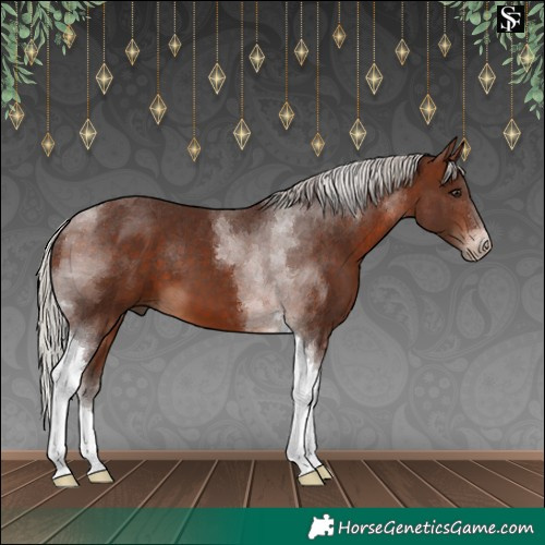 Horse Color:Silver Brown Tobiano 
