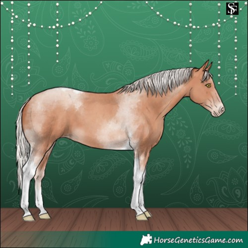Horse Color:Silver Sable Champagne Tobiano Appaloosa