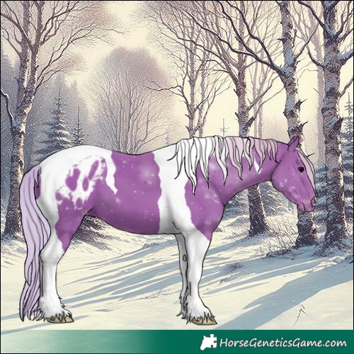 Horse Color:Watercolor Silver Black Tobiano Appaloosa 