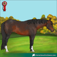 Horse Color:Brown 