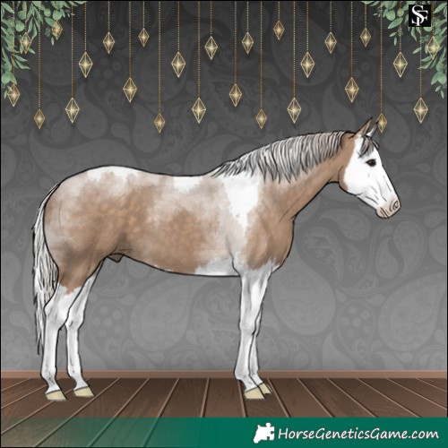 Horse Color:Silver Grullo Splash Tobiano 