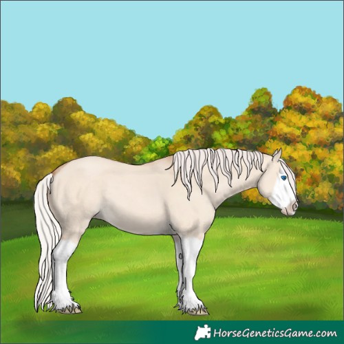 Horse Color:Silver Classic Champagne Dun Splash Frame 
