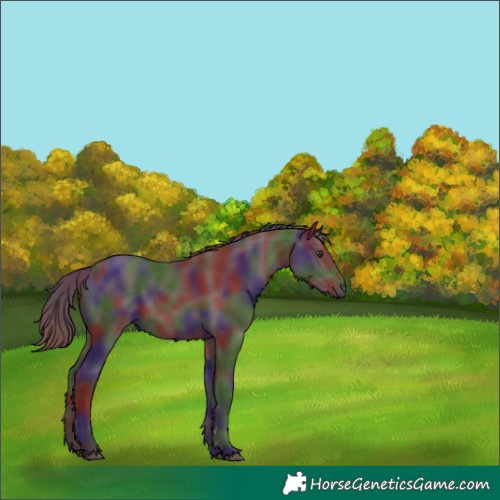 Horse Color:Nacre Liver Chestnut 