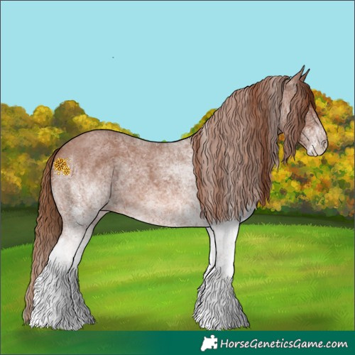 Horse Color:White Spotted Red Roan 