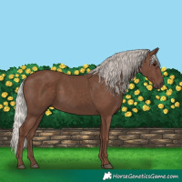 Horse Color:Silver Black 