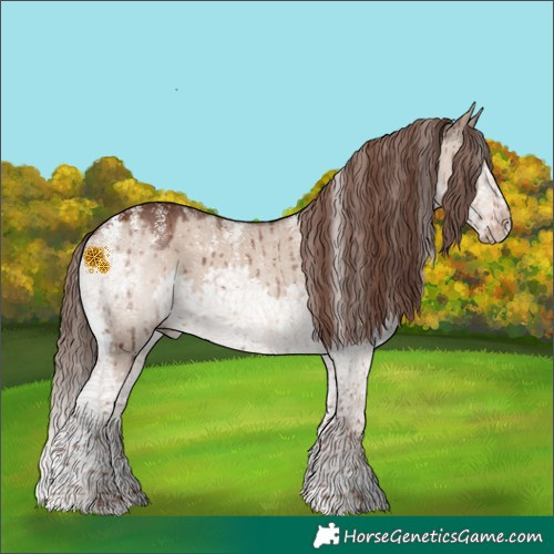 Horse Color:Powder White Liver Red Dun Splash Brindle 