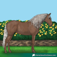 Horse Color:Silver Black