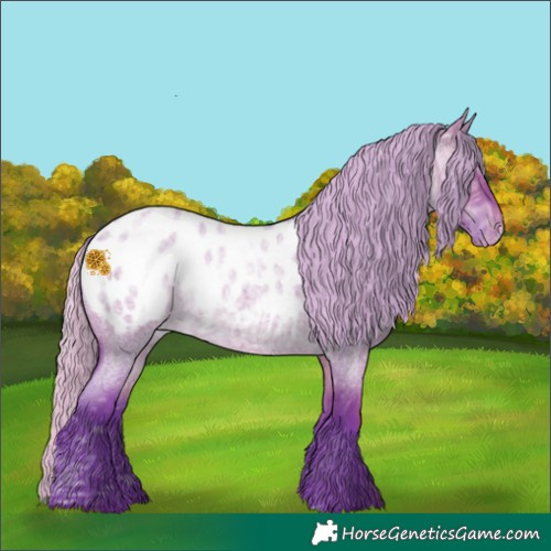 Horse Color:Watercolor Silver Brown Ice Roan Dun Appaloosa
