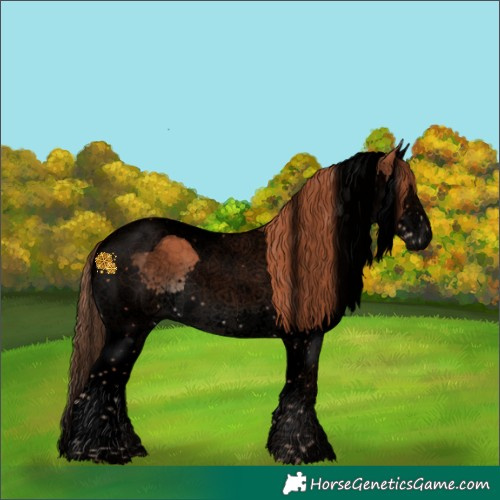 Horse Color:Void Chestnut Splash Tobiano 