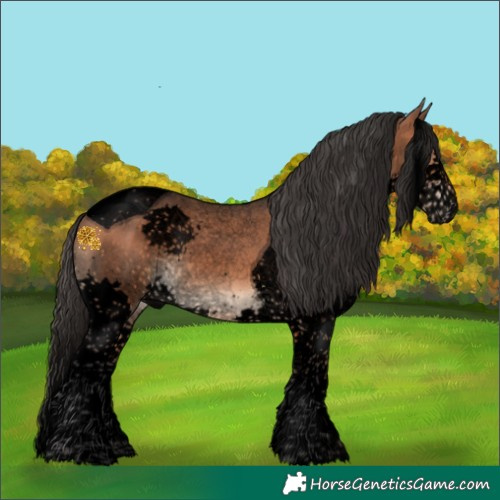 Horse Color:Void Bay Splash Tobiano