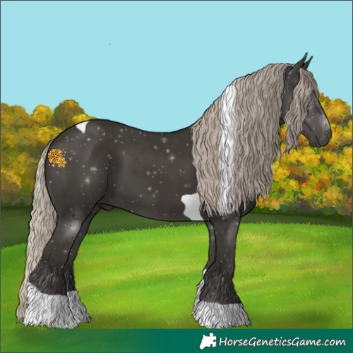 Horse Color:Gray Silver Black Tobiano 