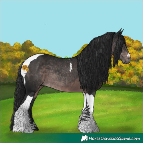 Horse Color:Gray Platinum Brown Tobiano 