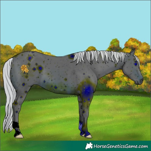 Horse Color:ERROR: UNKNOWN ANOMALY