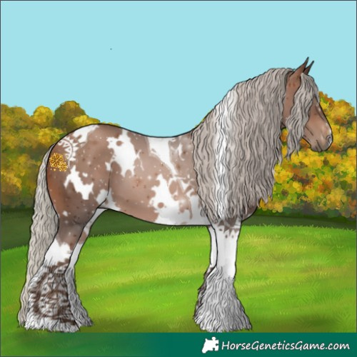 Horse Color:Gray White Spotted Silver Bay Pearl Tobiano 